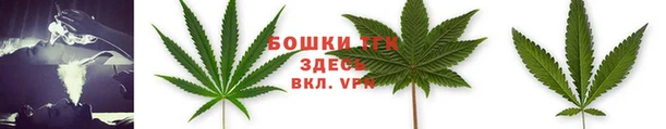 экстази Горняк
