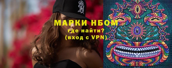 соль ск Горнозаводск