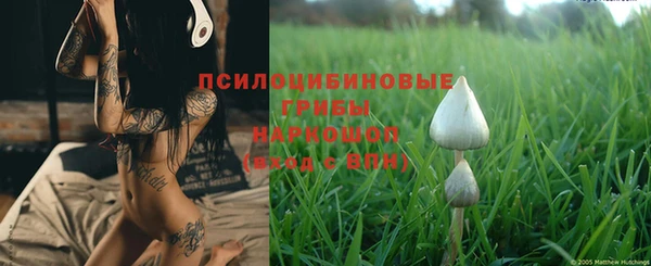соль ск Горнозаводск