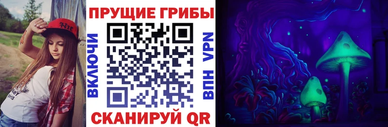 Галлюциногенные грибы Magic Shrooms  Купить где  Бийск 