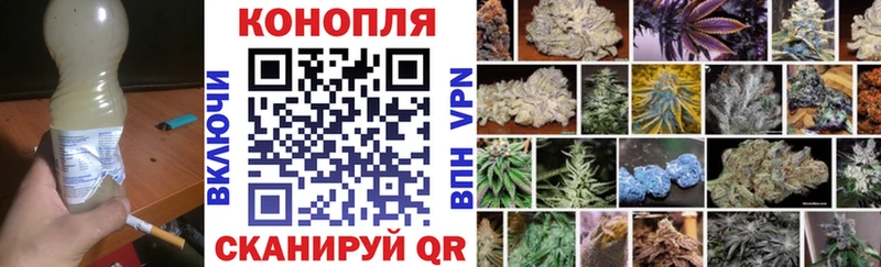Конопля индика  Купить закладки  Бийск 